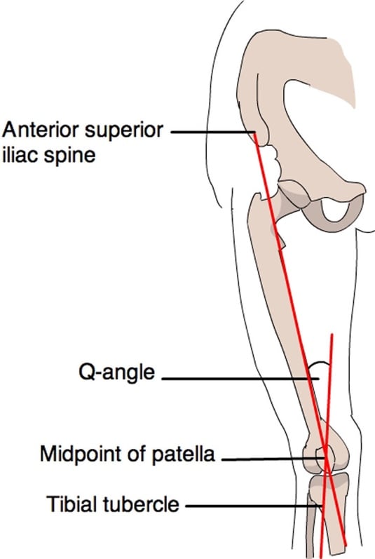 Anterior knee 7