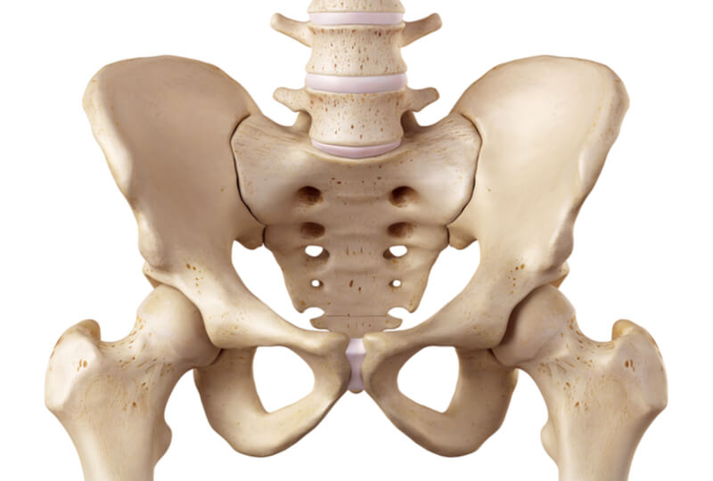 healthy hip joint