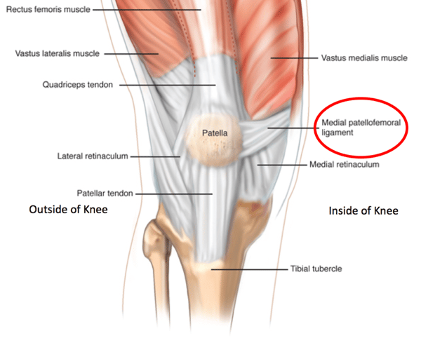 Patella 6