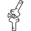 knee joint